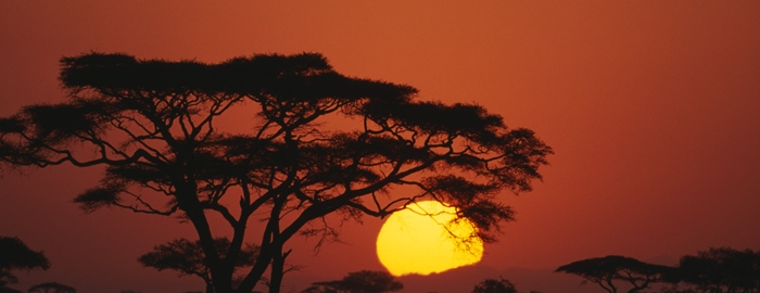 Endless Possibilities with Technology